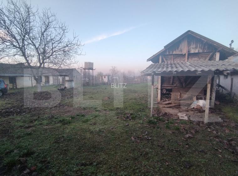 Casa renovata in Piscu Sadovei, 70 mp utili, 2200 mp curte - 12