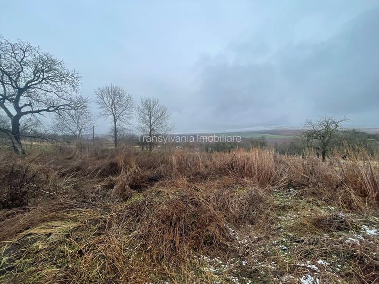 Casa Demolabila | Rediu | Teren 3278 mp | Posibiliate parcelare - 5