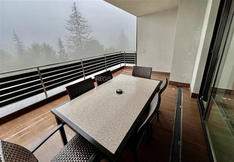 Proprietate exclusivista 4 camere Silver Mountain - 21