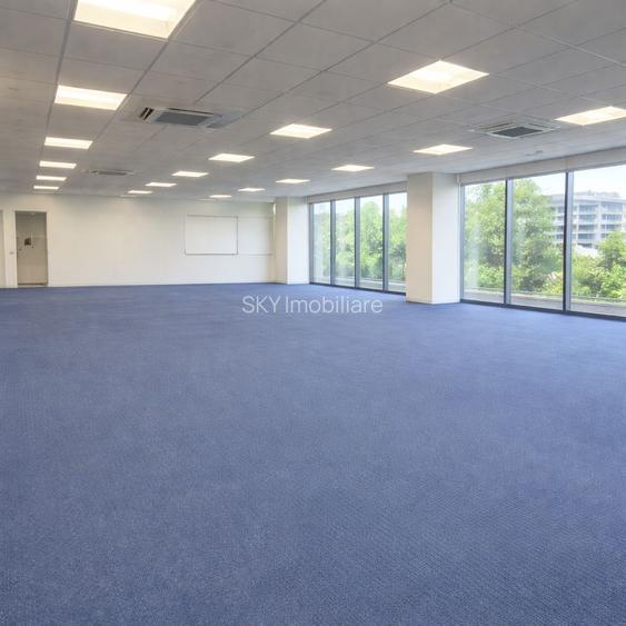 Spațiu de birouri 150 mp – Primăverii I Singur pe etaj - 3