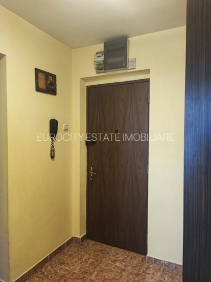 Drumul Taberei-b-dul Timisoara, intre Plaza si AFI, ap. 4 cam mobilat - 11