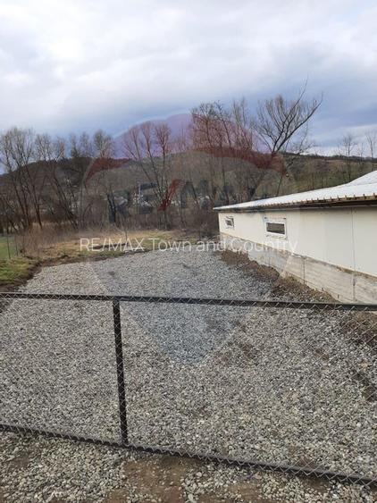 Afacere la cheie în creșterea porcinelor – Rona de Jos - 4