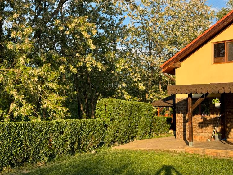 Vand casa in Lugojel  - 8