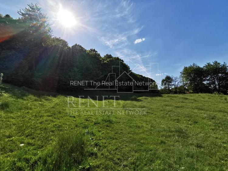 Oportunitate de Investiție - Teren de Basm in Bascov. DIRECT PROPRIETAR. - 5