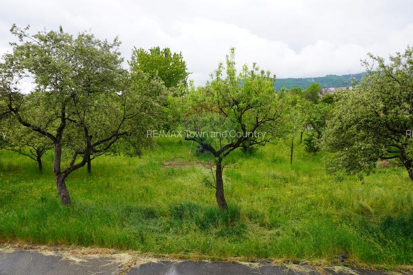 Teren 6,626mp Sighetu Marmatiei / Strada Popa Lupu - 33