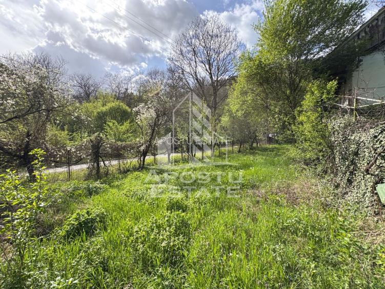 Casa batraneasca cu 2 camere, vedere panoramica, in Toplita, Hunedoara - 5