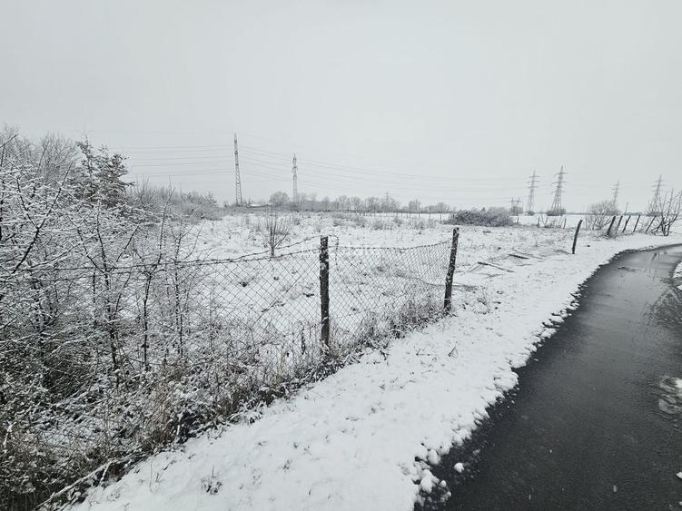 5876 MP , RONAT , TEREN INTRAVILAN - 2