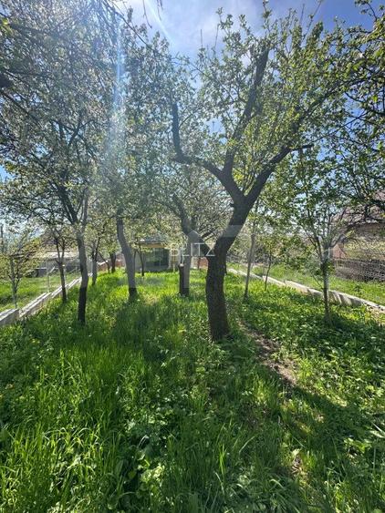 Casa individuala, 234 mp, teren 596 mp, totul nou, panorama, Dambul Rotund - 5