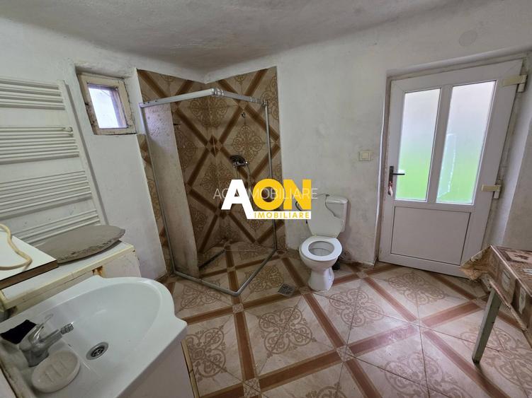 Casa cu 2 camere, 300 mp teren, pretabila pt. muncitori, Cetate - 9
