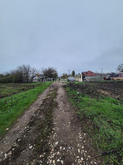 Teren intravilan,Frumusani, sat Pasarea - 4