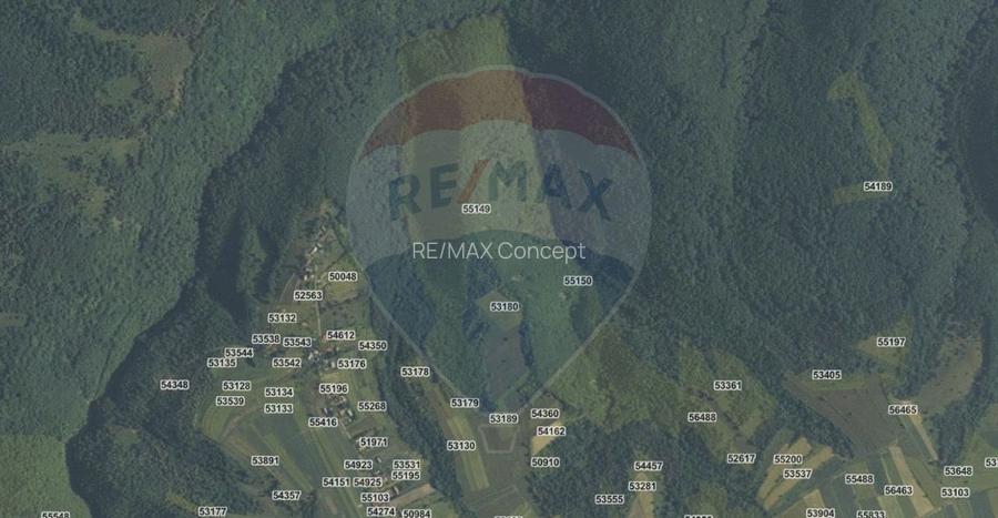 Padure 9 ha Cluj - 3