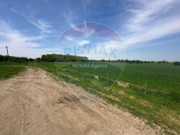 Teren 545,000mp Dragomiresti-Vale - 18