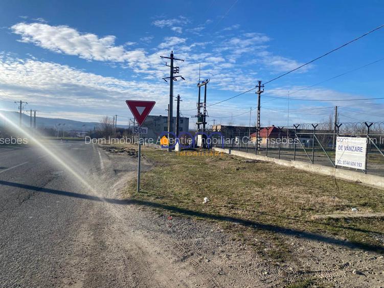 Teren investitie 34.000 mp Centura Caransebes - 9