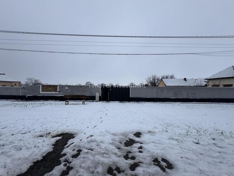 Teren Intravilan Becicherecu Mic 3200mp,F.S 40ml la DN6,Utilitati - 2