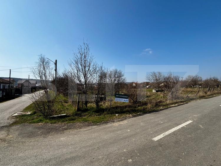 Teren IV 1200 mp, deschidere bilaterala, toate utilitatile, Podari - 2