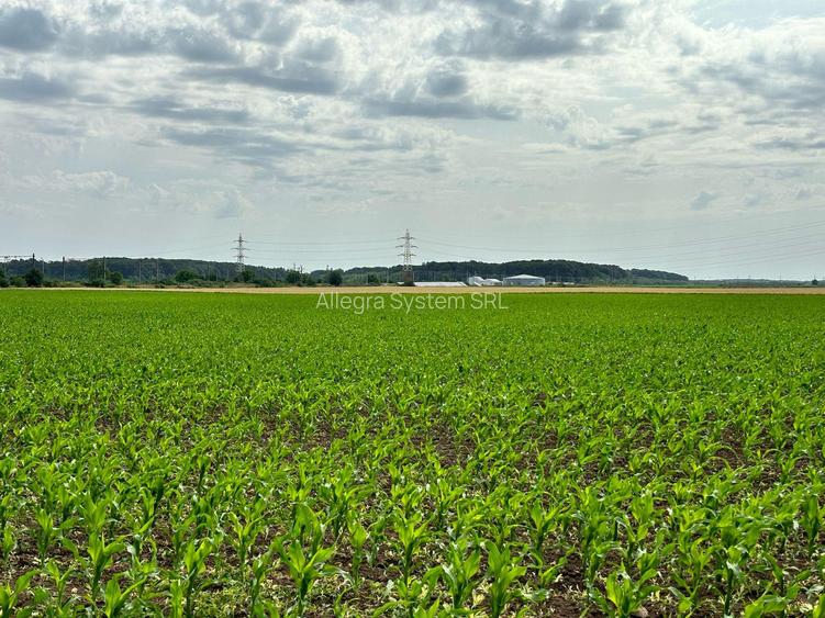 Dobroesti- Dragonul Roșu/Gara Pantelimon, 15000mp  intravilan - 6