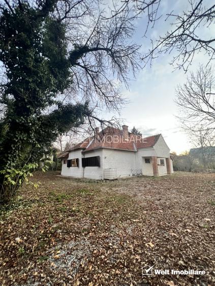 Spatiu de birouri in vila individuala 250mp , str Republicii - Centru - 2