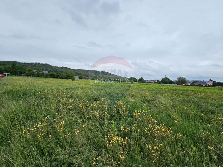 Teren 1,495mp Dobreni / Strada Parau Almas - 15