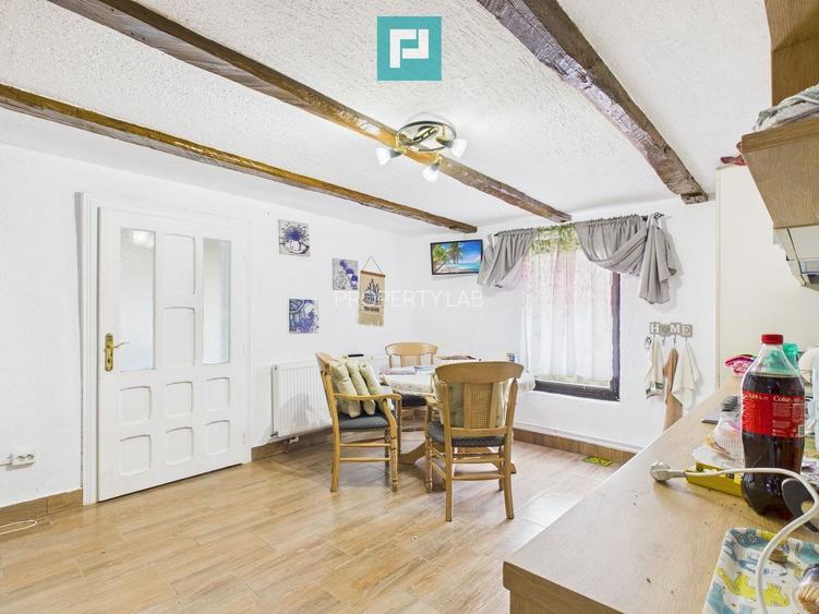 Casă deosebită la Urvișu de Beliu - 12