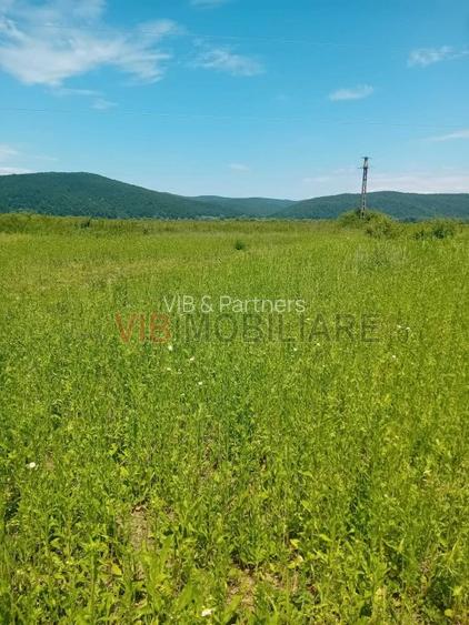 Oportunitate investiție agricolă | 750 ha societate | Județul Arad | - 2