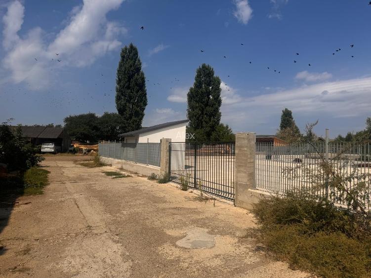 clădire de birouri nouă cu hală, parcare betonata și acces tir - 3