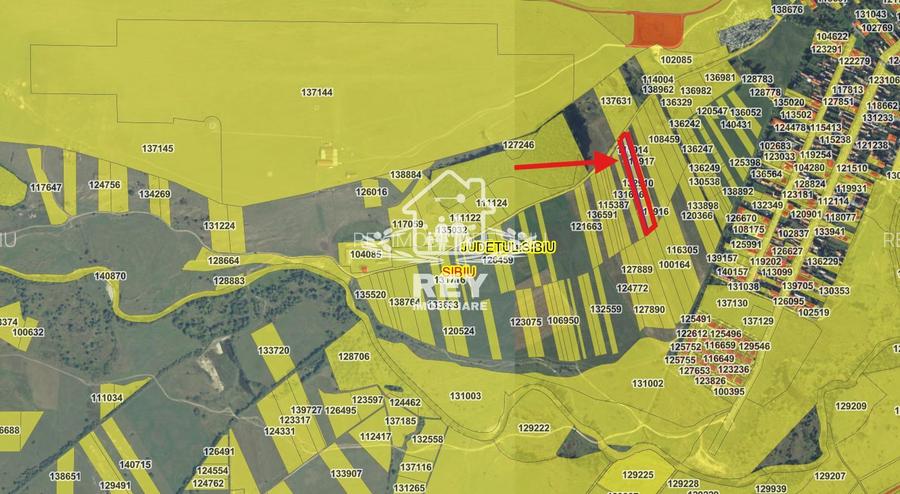 Teren intrevilan de vânzare Turnișor - 2