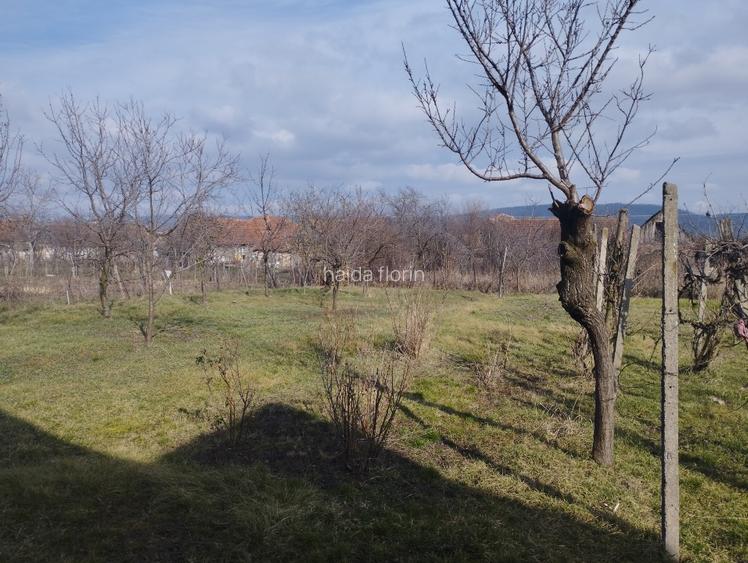 Vânzare casa buteni  - 4