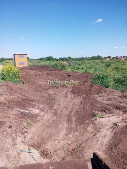 VANZARE HALA INDUSTRIALA - FRUMUSANI - 15