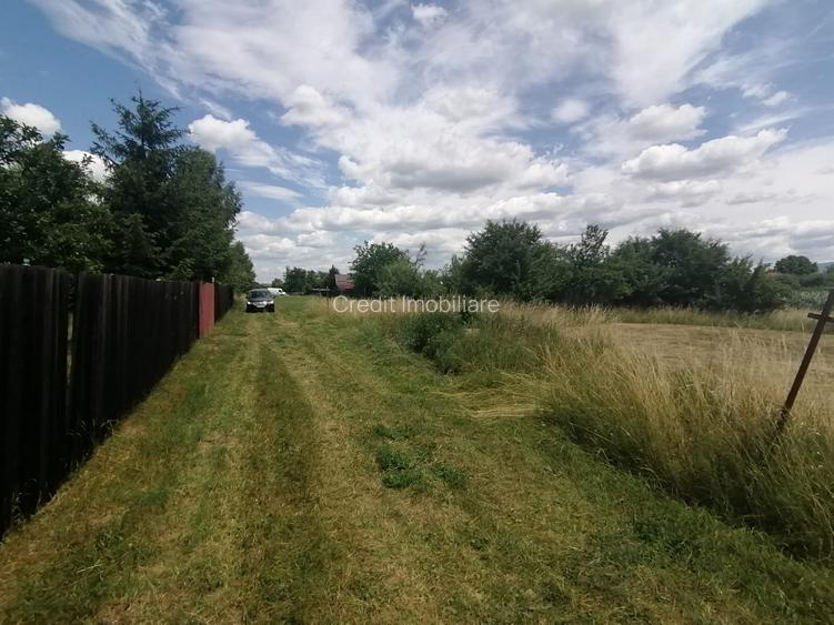 Teren de vanzare P Oltului - 6