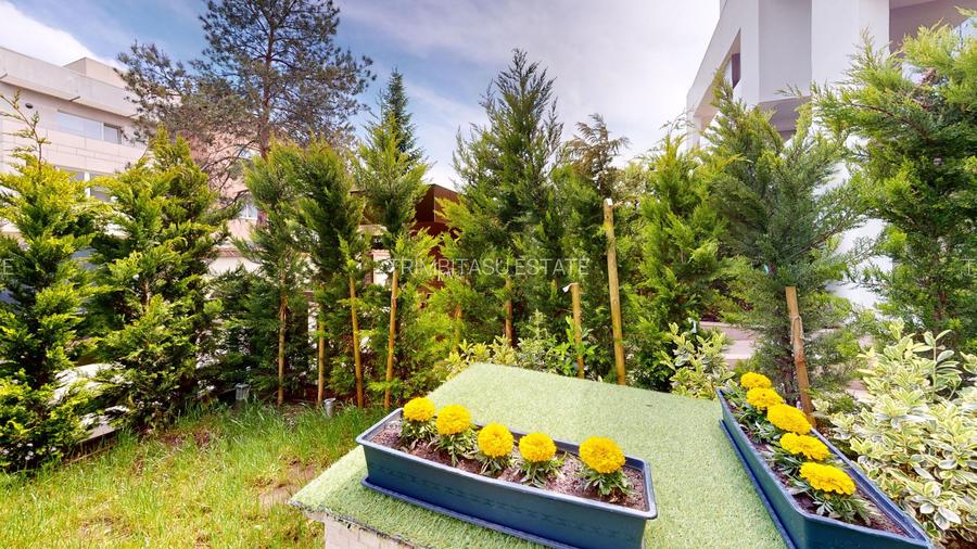 PIPERA | IANCU NICOLAE  | 3 camere | 116 mp | Parcare | Gradina 94 mp - 38