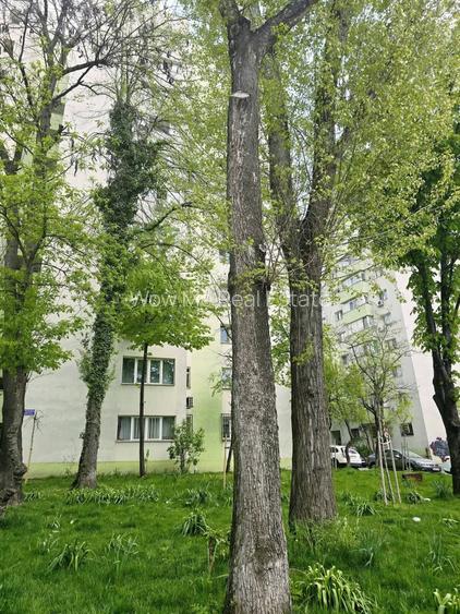 Apartament 3 Camere, Colentina, Fabrica de Gheață - 20