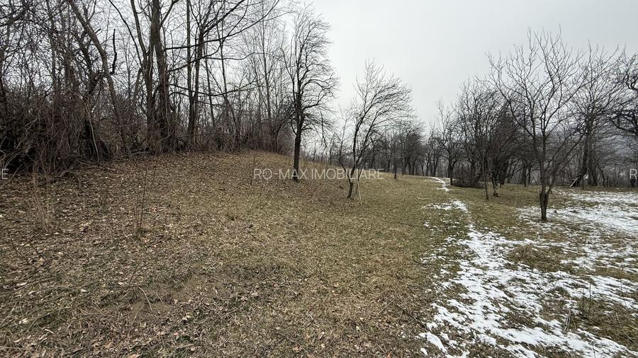 Teren 4652 mp cu izvor pe el, Lunca Mare, lângă păstrăvăria Doftana - 17