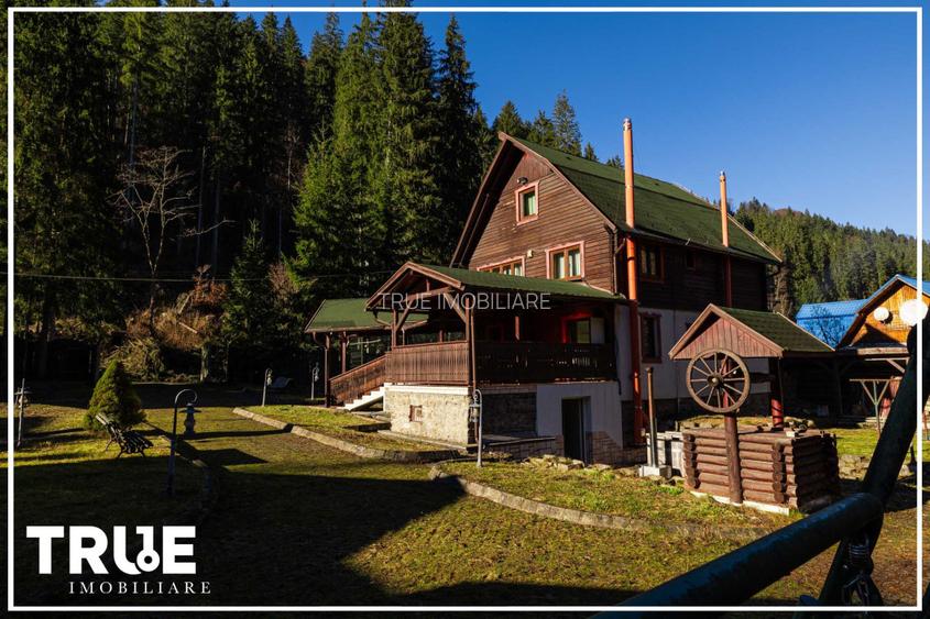 Cabană 210 m² + teren 1400 m² | Sălard, Mureș - 4