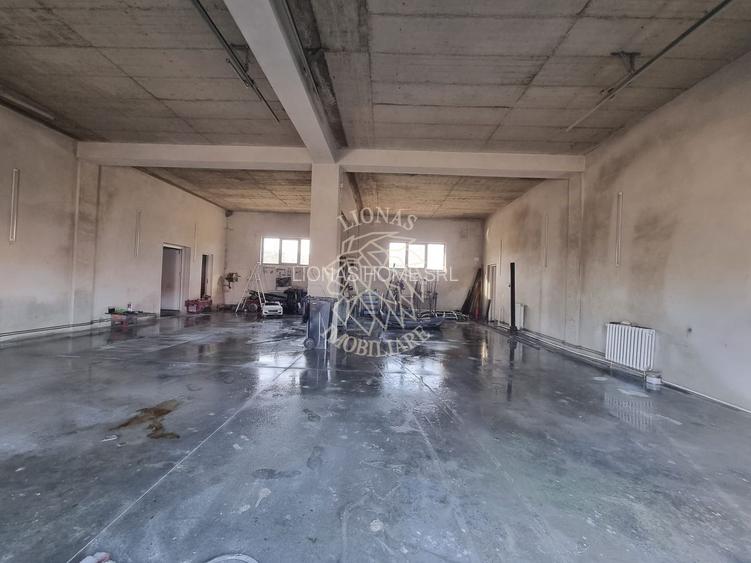 Casa de Lux 6 camere-480mp-teren 1100mp-service tinichigerie-Arcalia - 8