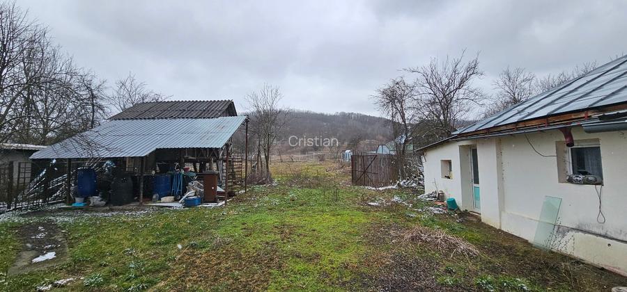 VÂNZARE MOȘIE – Sat Mitrofani, Comuna Mitrofani, jud. Vâlcea - 7