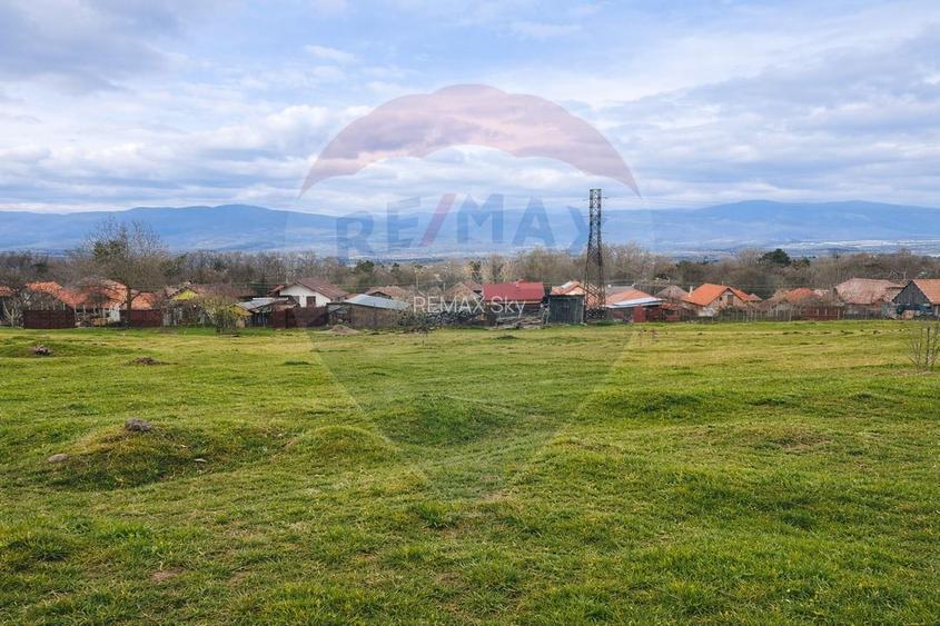 Teren intravilan Orăștie 2200 mp – perfect parc distracții / vilă - 3