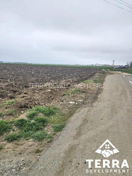 Loc 2 Mai, loturi teren intravilane - 4