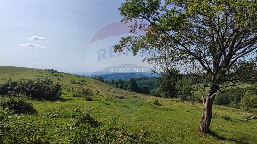 Teren 130000 mp extravilan, faneata si padure, Munteni - Bulz, Negreni - 14