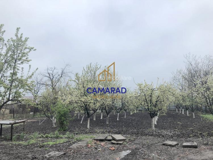 Spațiu comercial de vânzare în Tămădău Mare, jud. Călărași – Strada Principală - 14