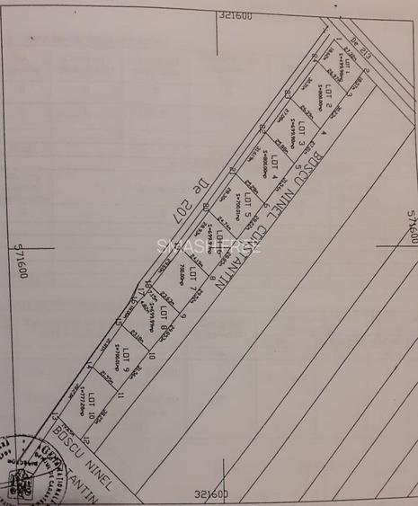 Teren intravilan in comuna Domnesti - sat Teghes - 10