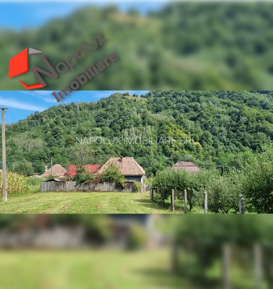 Casa deosebita in zona turistica pitoreasca Valea Ariesului - 8