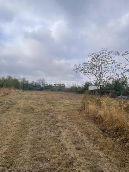 Teren Centru Clinceni  - 2