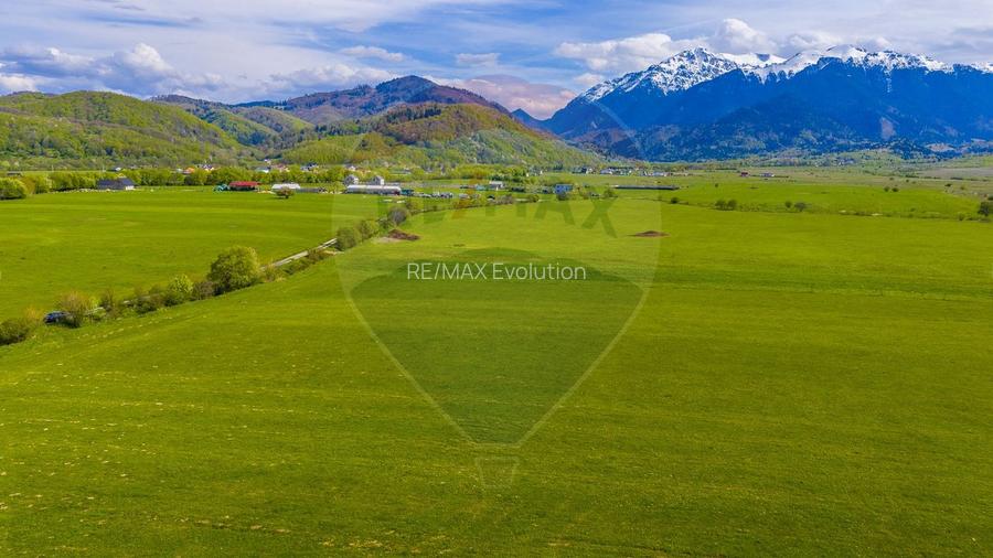 Teren 3000mp de vânzare în Râșnov / Pănicel - 5