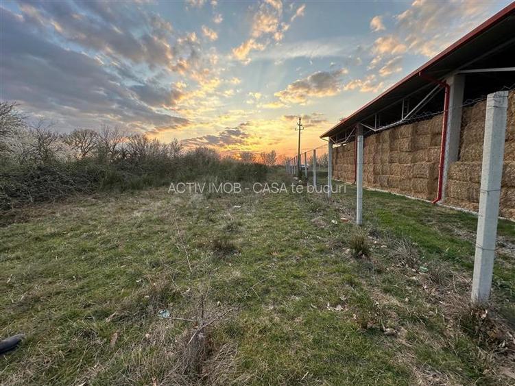 Bocsa Romana, 2 terenuri intravilan, 10.000 Mp.(59.900 Euro) si arabil, 80.000 M - 4