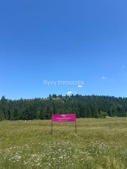OPORTUNITATE ÎN INIMA NATURII-Teren intravilan, COMANDĂU, COVASNA - 2
