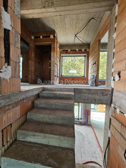 Casa Babana, 15 min de oraș,  inconjurata de padure, direct proprietar - 10