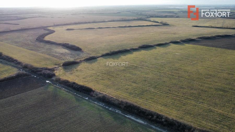 COMISION 0% Teren industrial 2000 mp, utilitati, acces TIR - Mosnita - 8