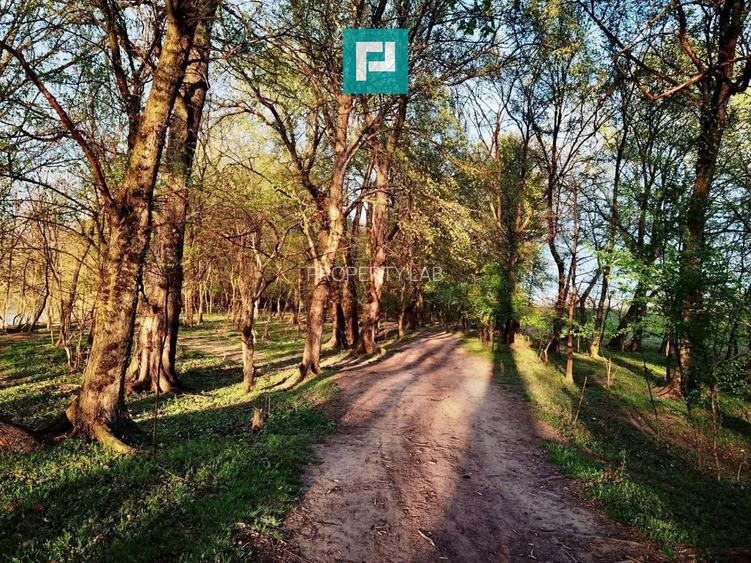 Teren pe malul Muresului- oportunitati multiple - 3