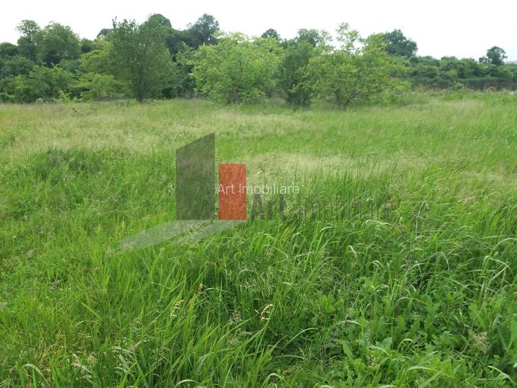 Teren Buftea cu iesire la lac - 17