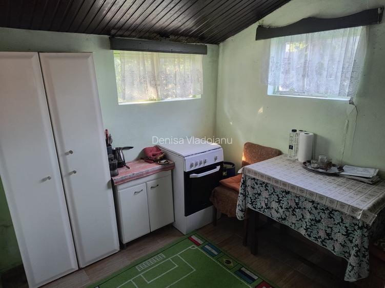 Casa de poveste si gradina 1550mp aproape de Craiova - 5